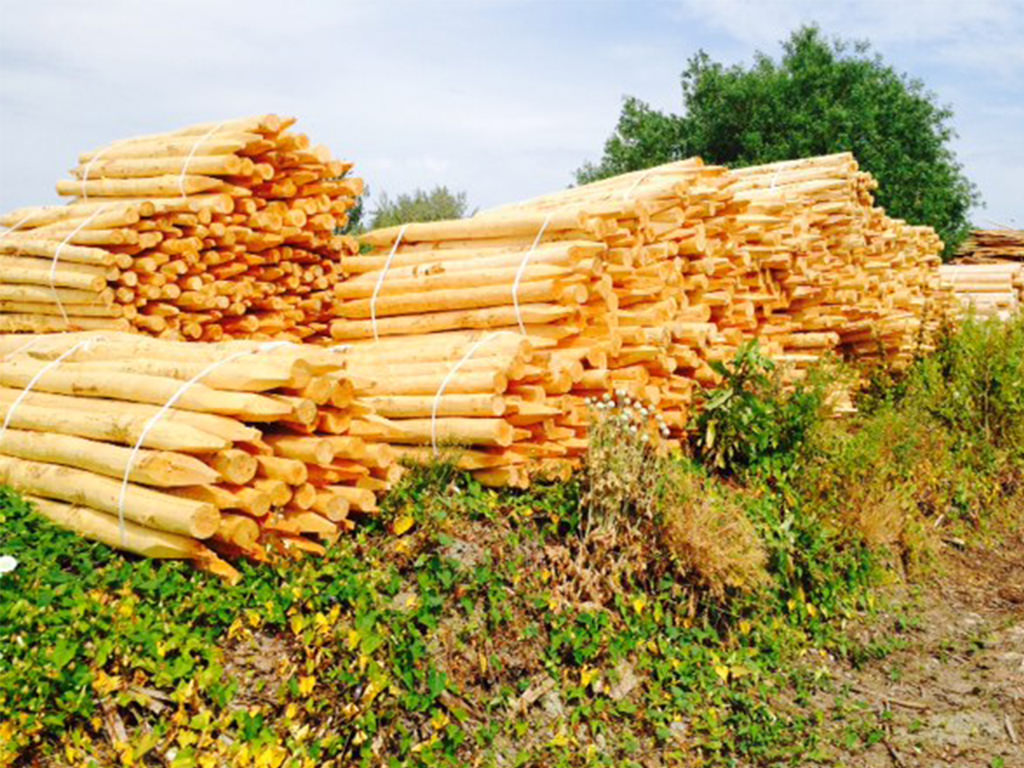 Stakes airing drying prior to treating