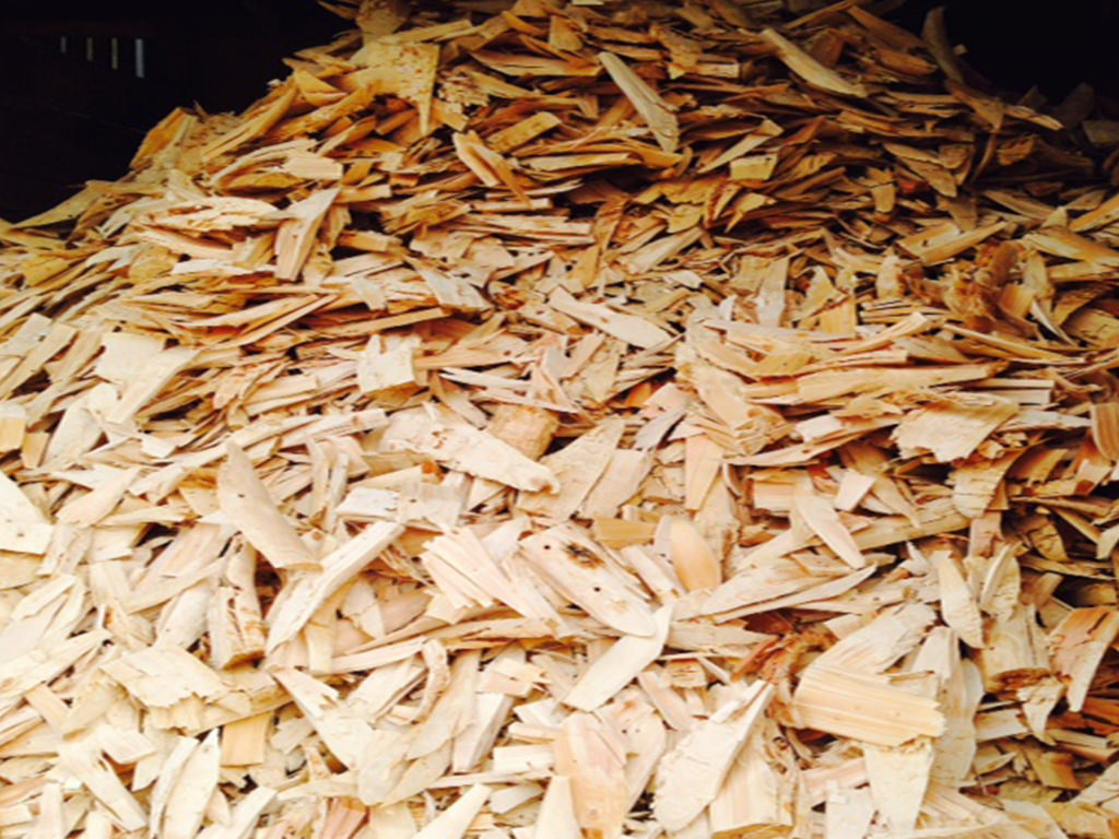 A pile of Kindling